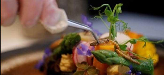 منوی غذای متفاوت رستورانی در اروپا که با کرم پخته میشوند + عکس