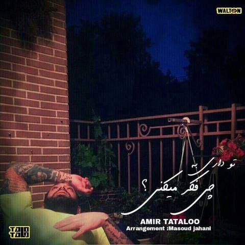 بیوگرافی امیر تتلو (امیر حسین مقصودلو) + بهترین آهنگ های تتلو