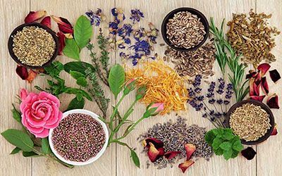 بهترین و مفیدترین گیاهان دارویی به همراه خواص آنها +عکس و انواع گیاهان دارویی