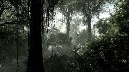 عکسهایی از عجیب ترین جنگل دنیا (جنگل سیاه)