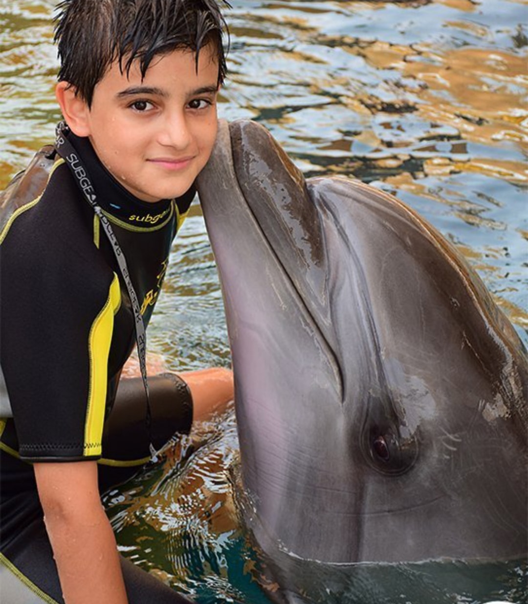شنا با دلفین در کیش خرید بلیط با تخفیف