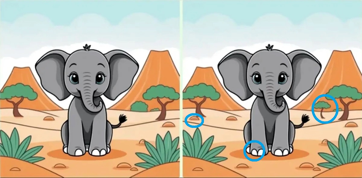 پاسخ شناخت تفاوتهای تصویر فیل