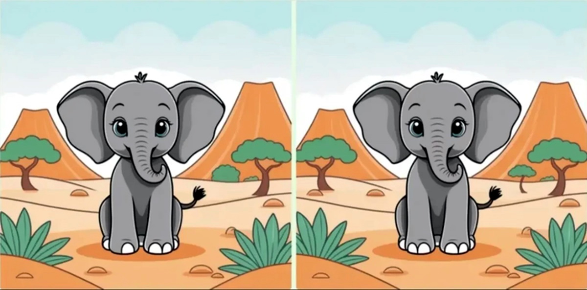 آزمون شناخت تفاوتهای تصویر فیل