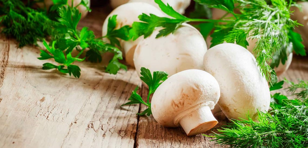 قارچ از خوراکی های مفید برای داشتن شکم صاف