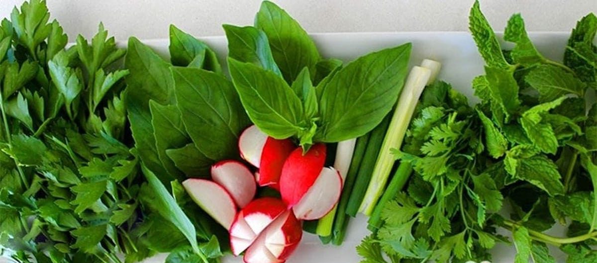 نگهداری سبزی خوردن برای مدت طولانی